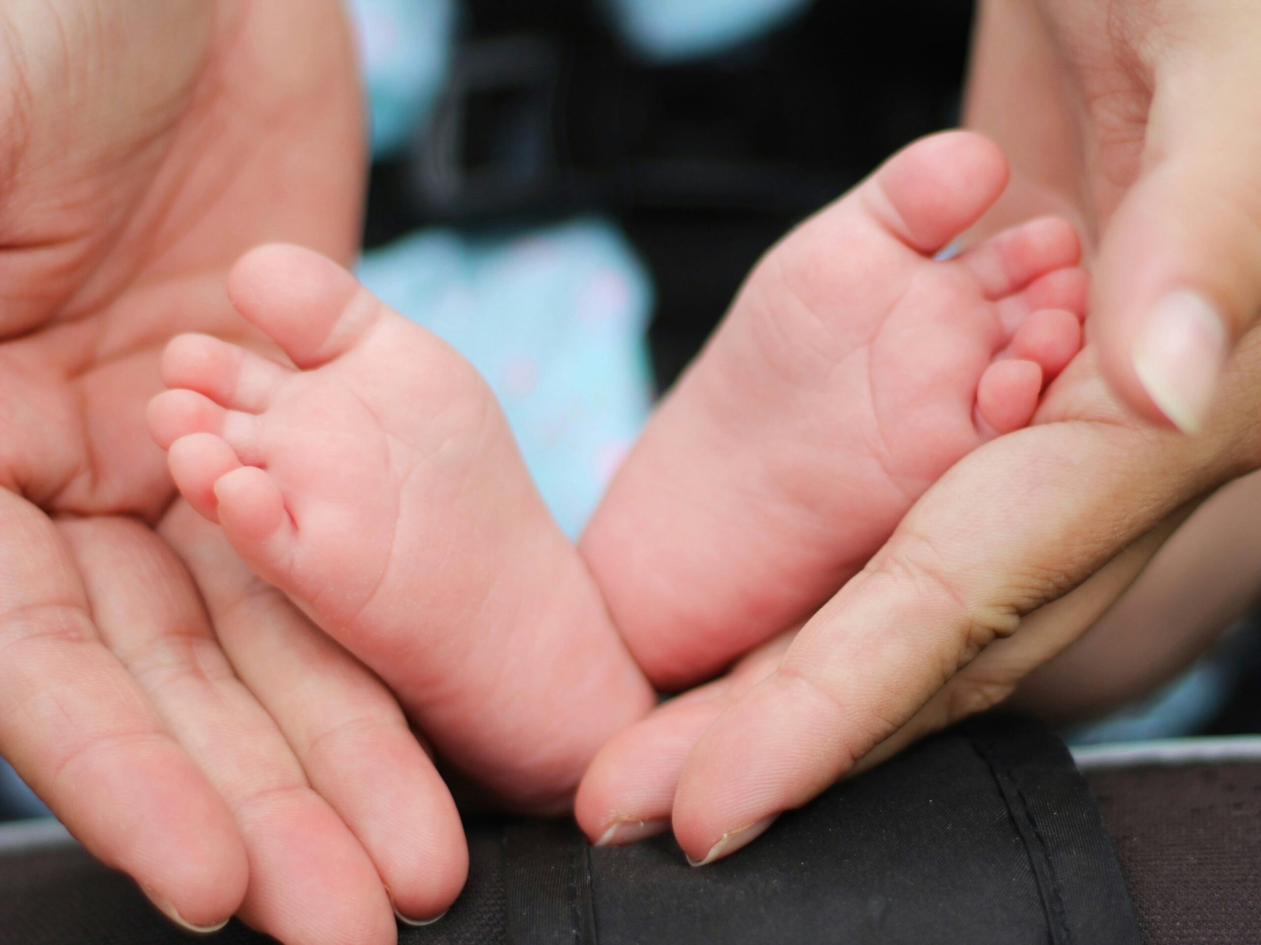 Egg Donation