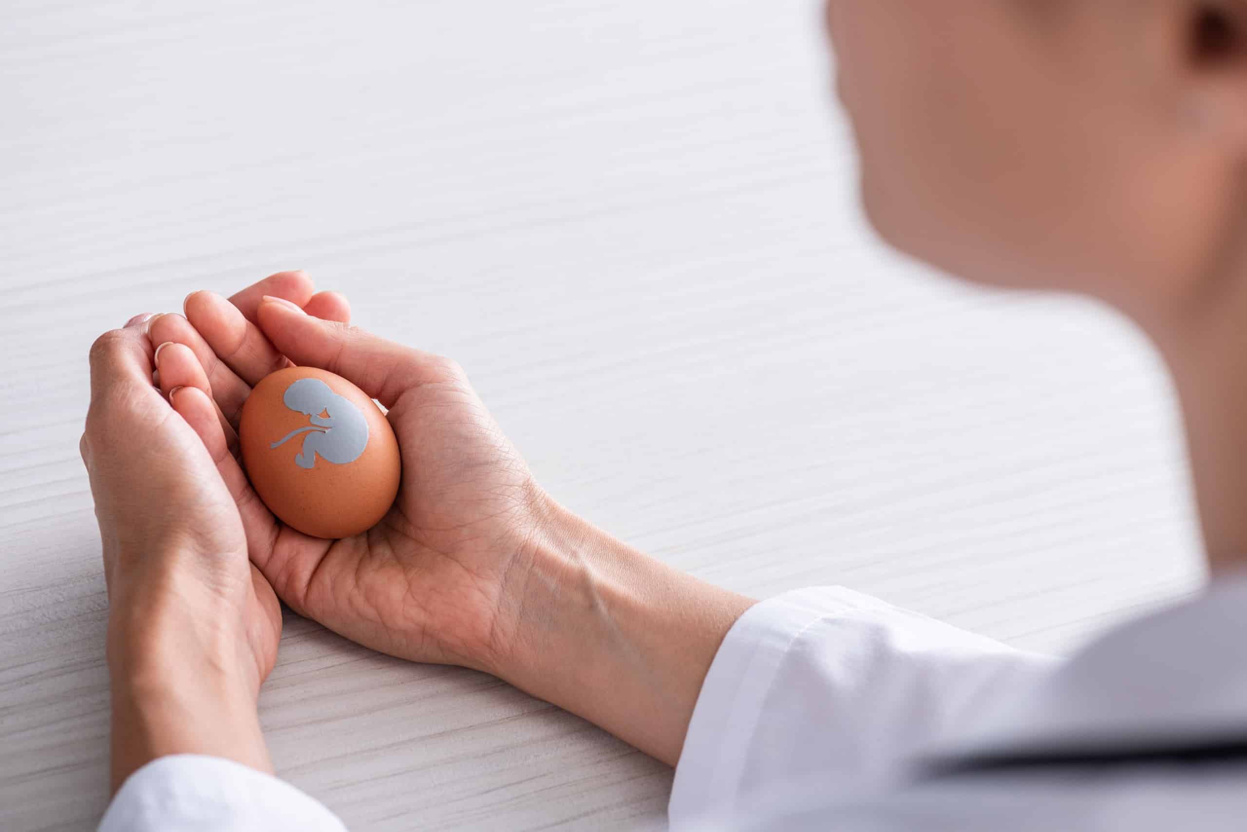 Long Does It Take to Donate Eggs